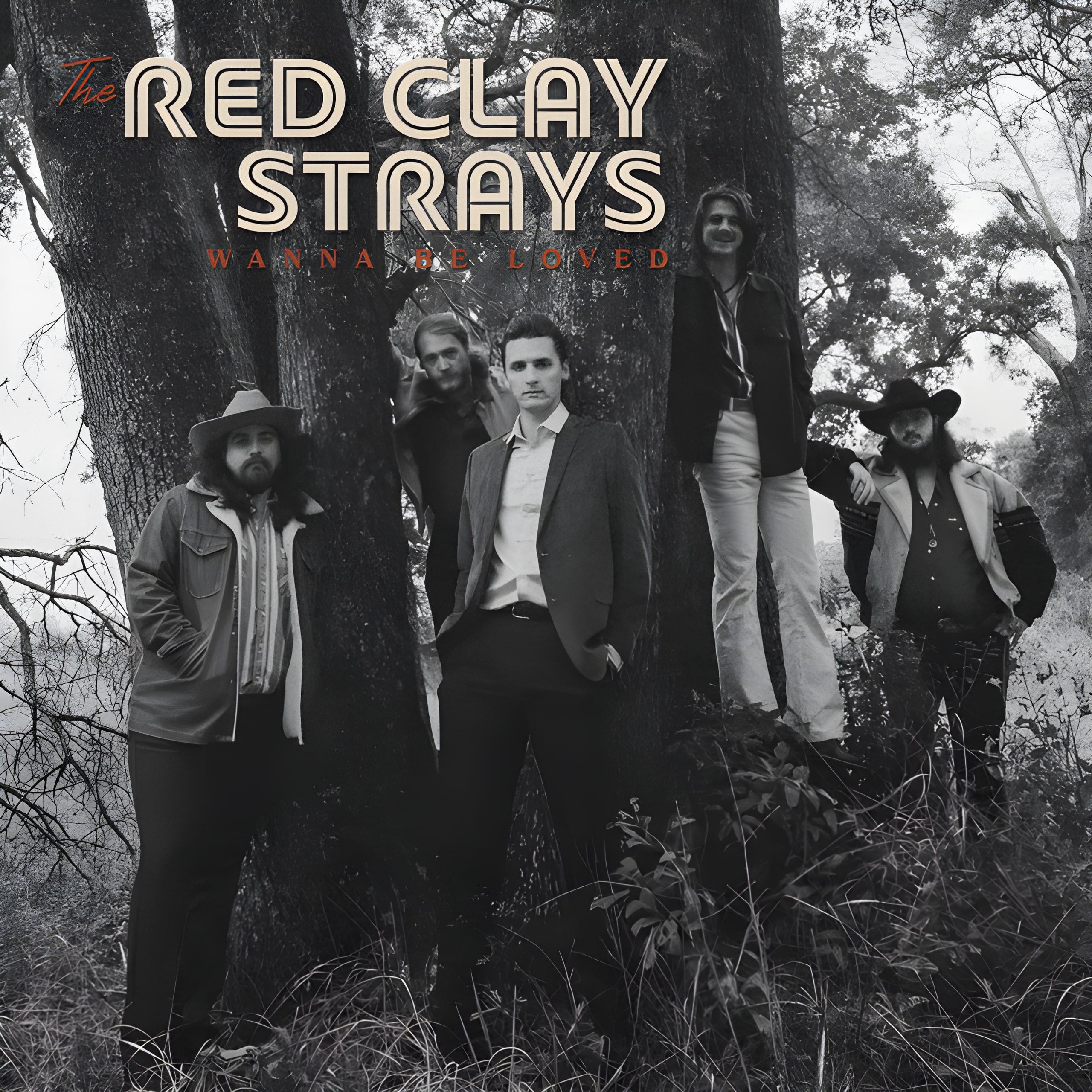 The Red Clay Strays