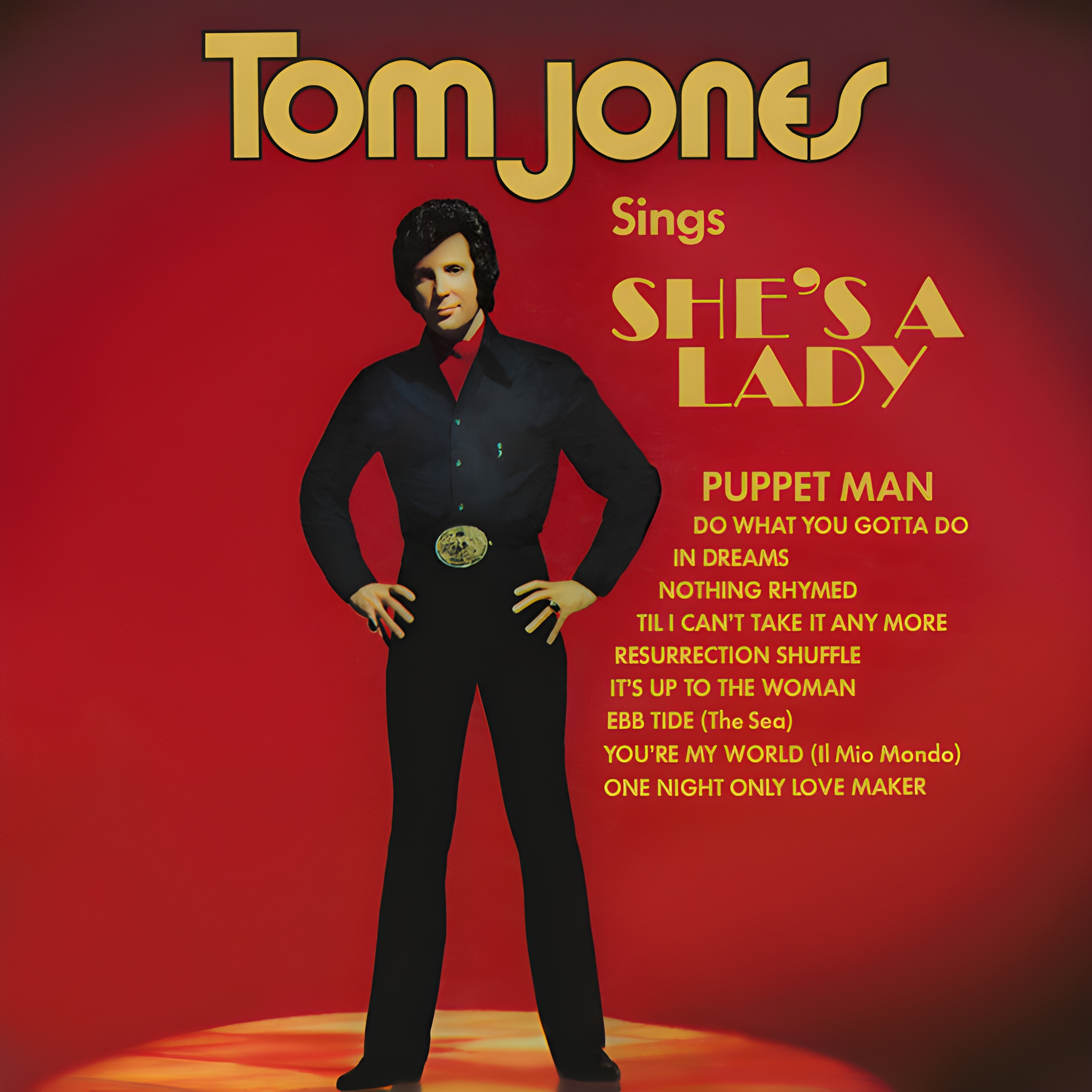 Tom Jones She's A Lady