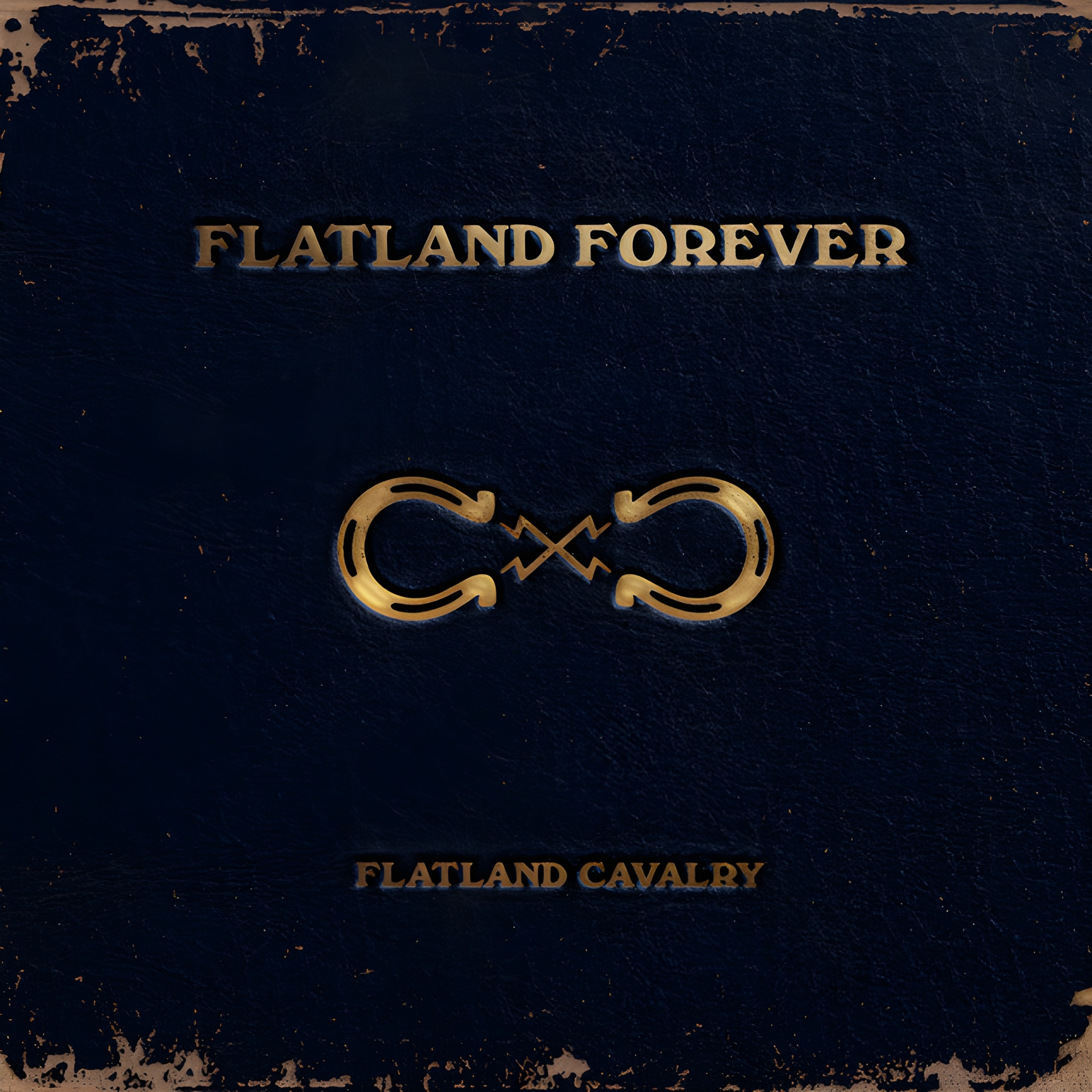 Flatland Cavalry Sleeping Alone