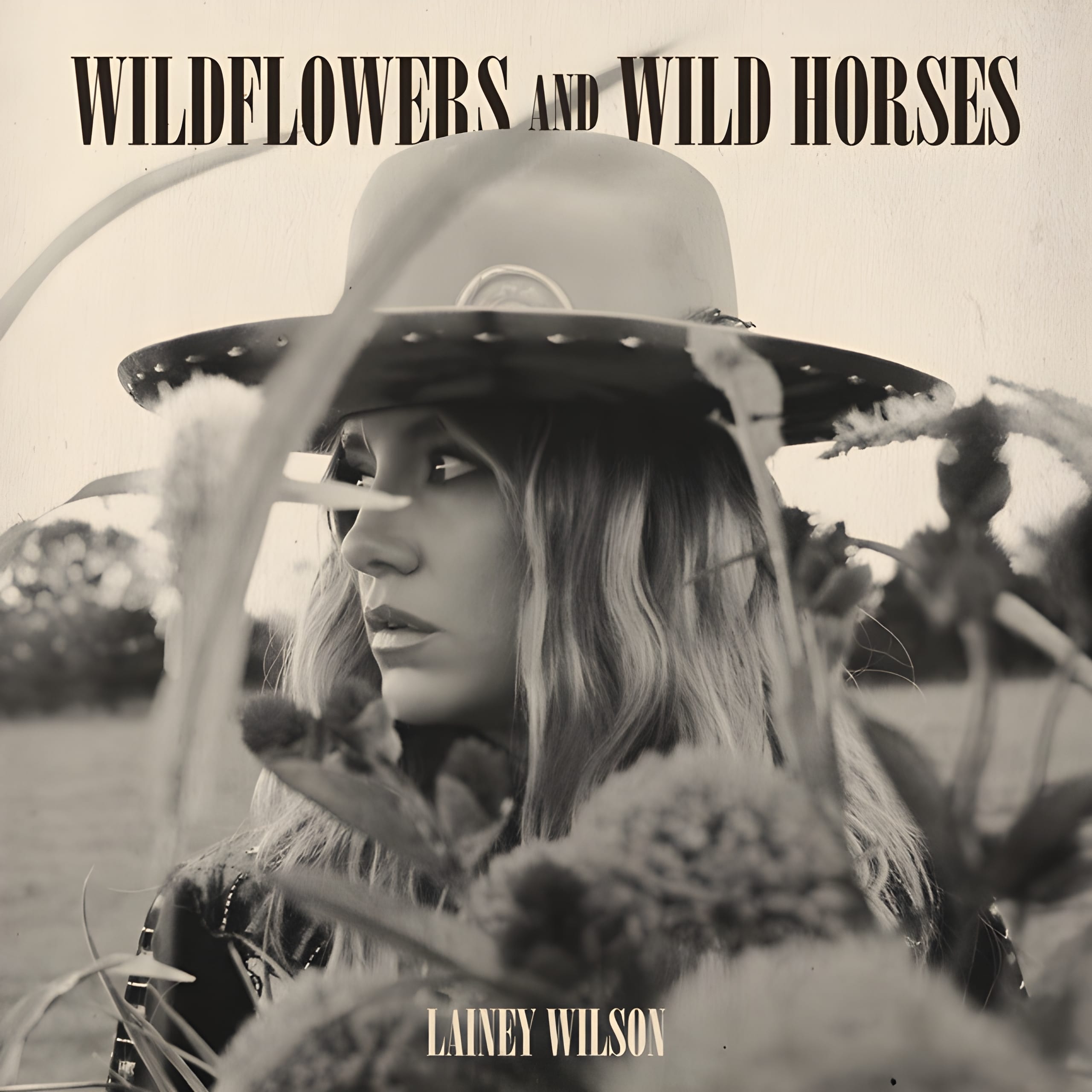 Lainey Wilson Wildflowers and Wild Horses (Single Version)