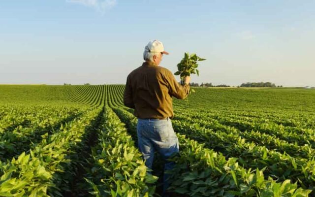 Why Consistency Wins in Farming Campaigns