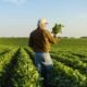 Why Consistency Wins in Farming Campaigns