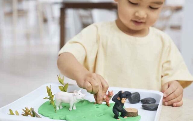 How Toys Are Shaping a New Era of Imaginative Play